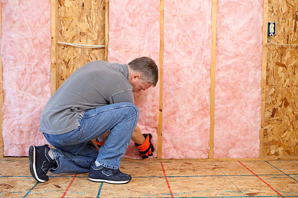 Best Blown-in Insulation  in Granville South, OH