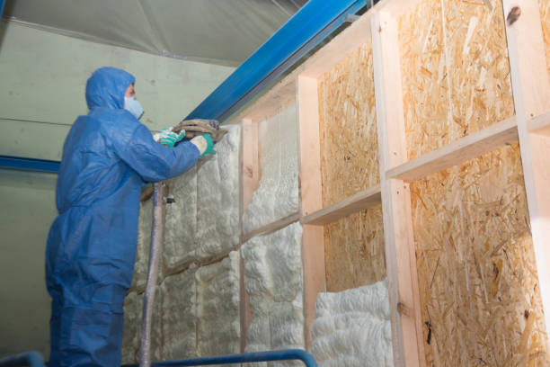 Best Spray Foam Insulation  in Granville South, OH